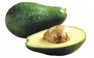 Avocado