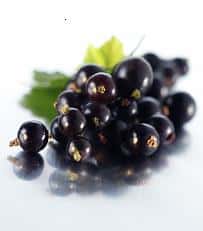 Blackcurrants