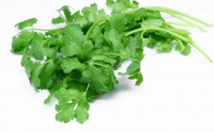 Celery