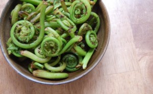 Fiddleheads