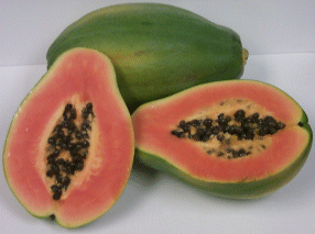 Papaya