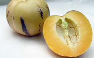 Pepino