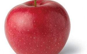 Red Apple Fruit
