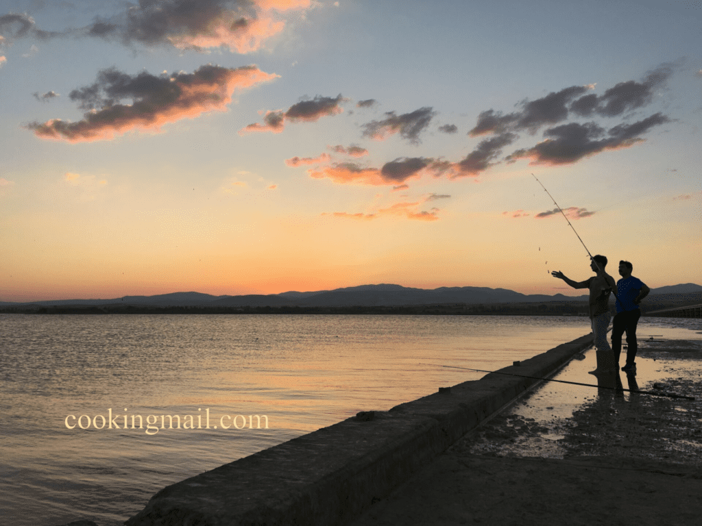 How To Fish in Sea and River